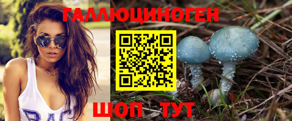 Новодвинск  хочу   Вход с VPN  Галлюциногенные грибы Cubensis 