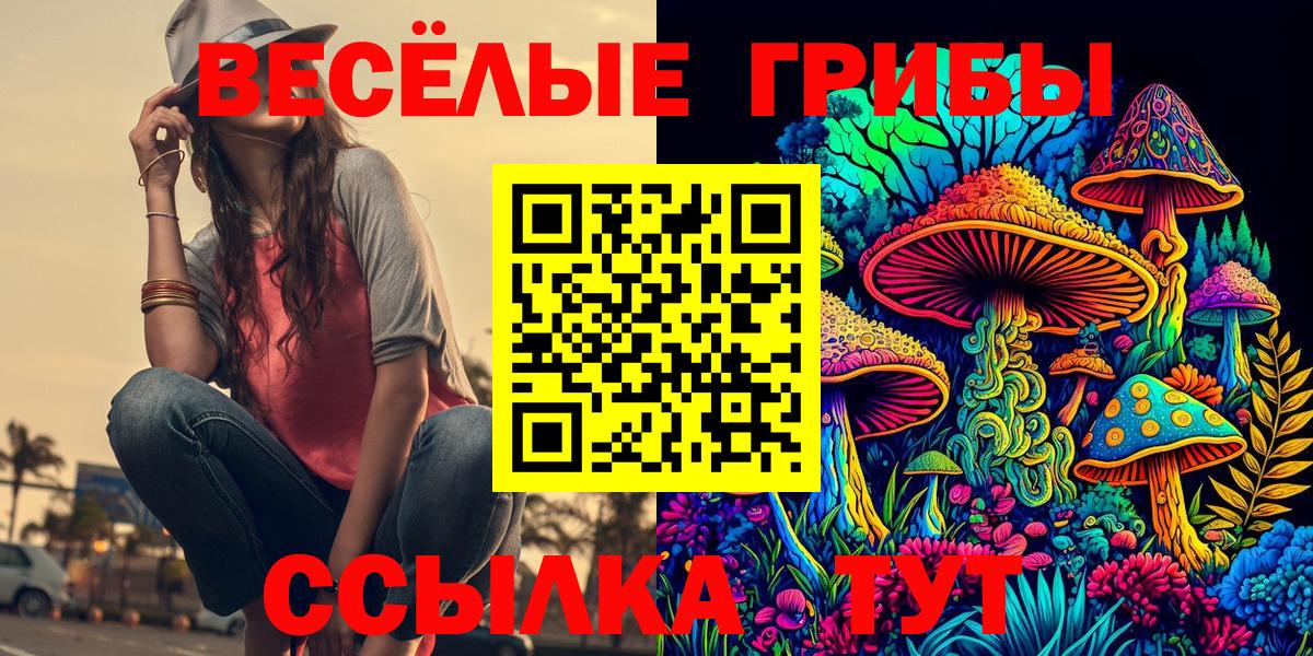 Галлюциногенные грибы Psilocybe Новодвинск